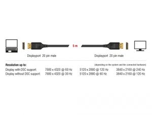 DeLOCK 85660 DisplayPort kabel 2 m Zwart