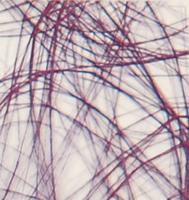 Vaessen Creative • sizoweb 5mx30cm in koker donkerpaars