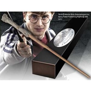 Harry Potter: Harry Potter's Wand Rollenspel