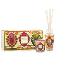 Baobab My First Baobab Mexico Giftbox