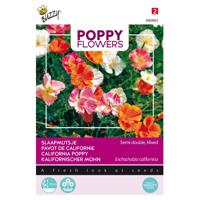 3 stuks Poppies of the world slaapmutsjes dubbelblad gemengd - thumbnail