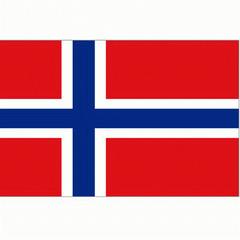 Vlag Noorwegen 90 x 150cm