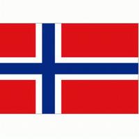 Vlag Noorwegen 90 x 150cm