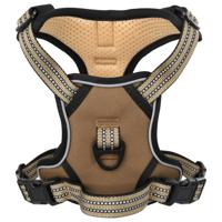 VidaXL Hondentuigje met riem en halsband verstelbaar s bruin