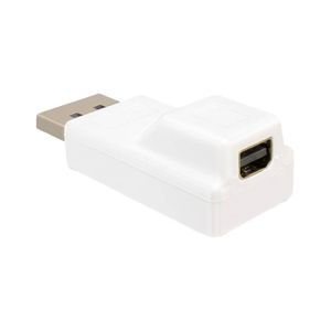 Adapter DisplayPort > Mini-DisplayPort Adapter