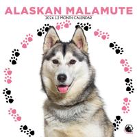 Alaskan Malamute Kalender 2026