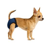 Nobleza Hondenbroekje met 3 pads - Maat S