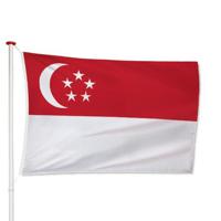 Singaporese Vlag - thumbnail