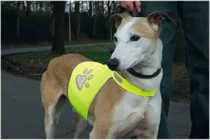 Beeztees safety gear veiligheidsvest - hond - geel - s