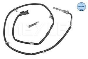 Sensor, uitlaatgastemperatuur 6148000053