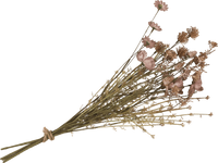 Kunstplant dry flower bouquet
