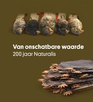 Van onschatbare waarde - eBook (9789462497276) - thumbnail