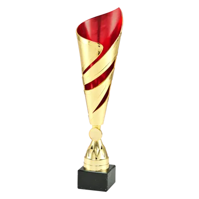 Sportprijzen Leiden Trofee 100.06