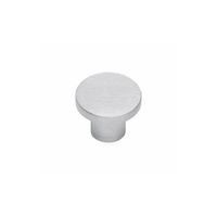 KNOP PLAT 30MM RVS 35852051