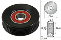 Spanrol, Poly V-riem INA, Diameter (mm)73mm, u.a. für Honda, Subaru, Rover