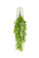 Adelaarsvaren hangend l25cm groen