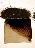 Powertex • bister poeder 30g black