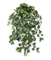 Hedera Gala kunst hangplant 75cm - groen - thumbnail