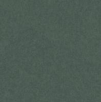 Dutch Wallcoverings Sauvage/British H. Uni - Groen