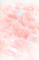 Rozenblaadjes Baby roze - thumbnail