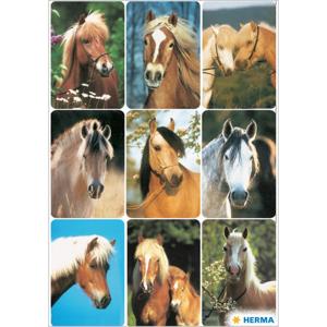 Paardenhoofden stickers - 3x vellen - dieren - boerderij - kinderen - agenda