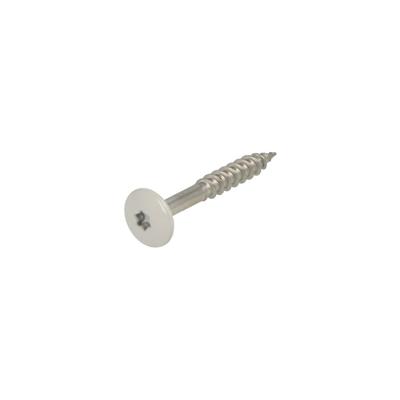 Hoenderdaal Hpl Schroef Rvs-A2 Torx TX20 Lichtgrijs Ral7035 4.8X38 | 100 stuks - 0346.30.37538
