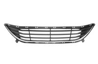 Ventilatiegrille, bumper 6502073171910P