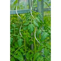 Nature - 3 stuks Tomatensteunen spiraalvormig verzinkt H1,80m dia. 6,8mm - thumbnail