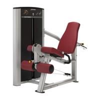 Life Fitness Axiom series leg extension