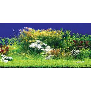 Aquatic Nature Foto Achterwand Creatif 120 x 50