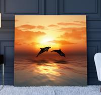 3D canvas schilderij dolfijnen bij zonsondergang