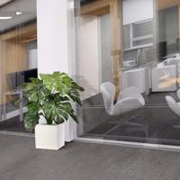 Monstera deluxe kunstplant 75cm - FR - brandvertragend Monstera deluxe kunstplant 75cm - FR - brandvertragend