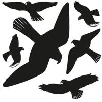 Vogel afweer raamstickers - 6x - zwart - op een vel van 30 x 30 cm