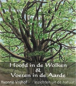 Hoofd in de wolken, voeten in de aarde (Paperback)