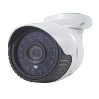 H. 264 bedraad infrarood waterdicht/Vandalproof IP-camera 1/3 inch 4mm 1 3 mega pixels vaste lens bewegingsdetectie/Privacymasker en 30m IR nachtzic