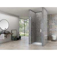 Van Rijn Products Nisdeur 6 mm helder glas, incl. glasbehandeling, chroom beslag, inclusief dichtingen, deuren zijn omkeerbaar (670-690) x 2000 mm ST02LP10067