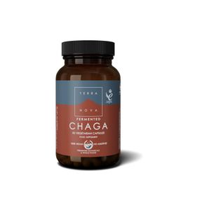 Fermented chaga