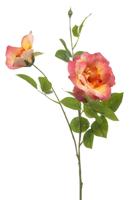 Rose liza spray x3 peach 80 cm Emerald - Emerald