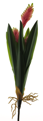 Bromelia sword plant pink 55 cm kunstbloem - Nova nature