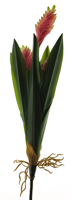 Bromelia sword plant pink 55 cm kunstbloem - Nova nature