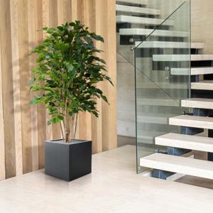 Ficus Exotica deluxe kunstplant 125cm - groen