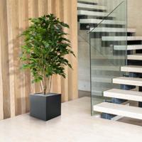 Ficus Exotica deluxe kunstplant 125cm - groen