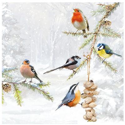Ambiente Servetten Tuinvogels - 20x stuks - 33 cm - vogel thema