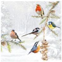 Ambiente Servetten Tuinvogels - 20x stuks - 33 cm - vogel thema