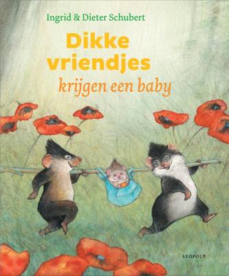 Dikke vriendjes krijgen een baby (Hardback)