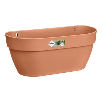 Elho vibia campana wall basket 35 terra