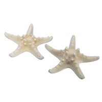 12x stuks decoratie zeesterren - naturel wit - 10-15 cm