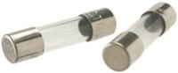Enzo Glaszekering traag 6,3x32 5A 4592133 Enzo Glaszekering traag 6,3x32 5A 4592133
