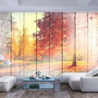 Zelfklevend fotobehang - In de Herfst zon, Natuur, premium print - thumbnail