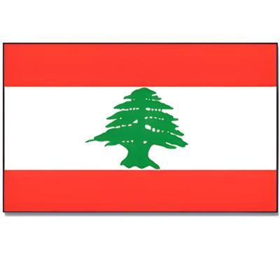 Vlag Libanon van 90 x 150 cm - feestartikelen - Landen thema supporters